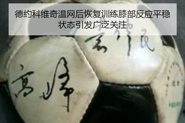德约科维奇温网后恢复训练膝部反应平稳状态引发广泛关注 | xingkong.com